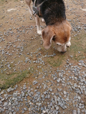 f:id:roukenhome-ann:20190703140942j:plain