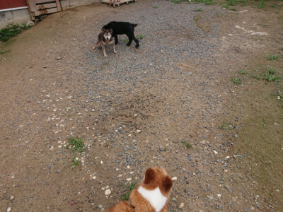 f:id:roukenhome-ann:20190703141005j:plain