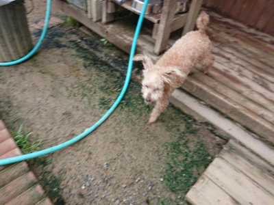 f:id:roukenhome-ann:20190703141026j:plain