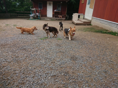 f:id:roukenhome-ann:20190703141105j:plain