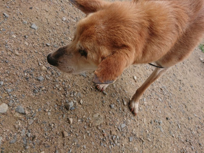 f:id:roukenhome-ann:20190703141328j:plain
