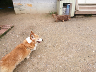 f:id:roukenhome-ann:20190703141415j:plain