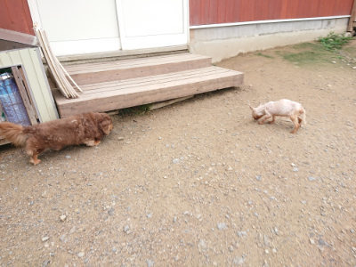 f:id:roukenhome-ann:20190703141426j:plain