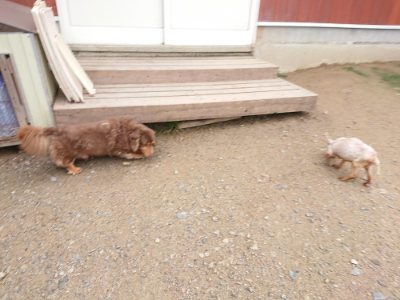 f:id:roukenhome-ann:20190703141452j:plain