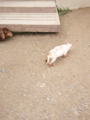 f:id:roukenhome-ann:20190703141457j:plain