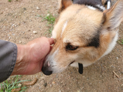 f:id:roukenhome-ann:20190703141502j:plain