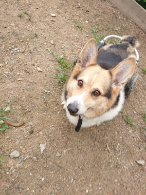 f:id:roukenhome-ann:20190703141556j:plain