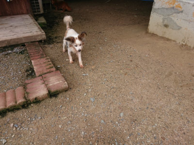 f:id:roukenhome-ann:20190703141612j:plain
