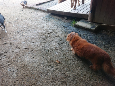 f:id:roukenhome-ann:20190703141627j:plain