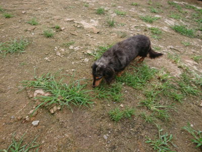 f:id:roukenhome-ann:20190703141657j:plain