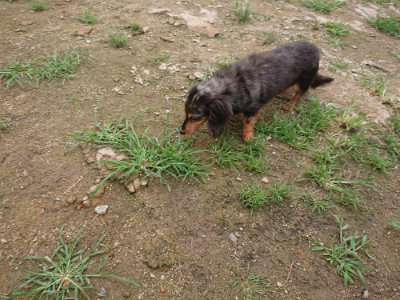 f:id:roukenhome-ann:20190703141703j:plain