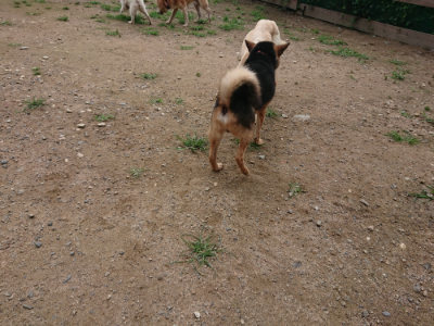 f:id:roukenhome-ann:20190703141710j:plain