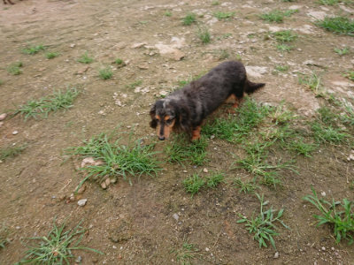f:id:roukenhome-ann:20190703141720j:plain