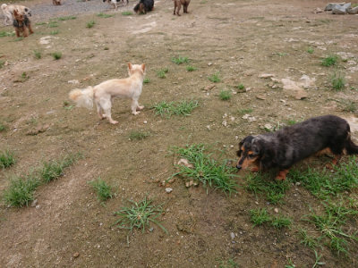 f:id:roukenhome-ann:20190703141727j:plain