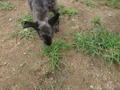 f:id:roukenhome-ann:20190703141743j:plain