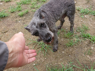 f:id:roukenhome-ann:20190703141748j:plain