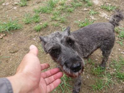 f:id:roukenhome-ann:20190703141754j:plain