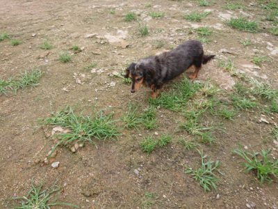 f:id:roukenhome-ann:20190703141830j:plain