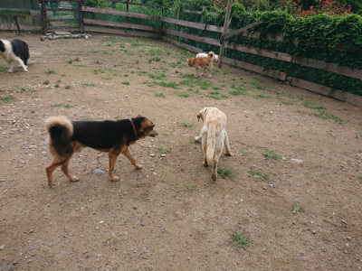 f:id:roukenhome-ann:20190703141835j:plain