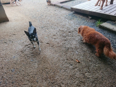 f:id:roukenhome-ann:20190703141850j:plain