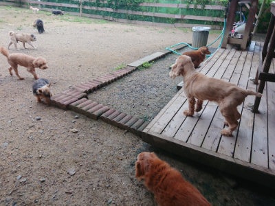 f:id:roukenhome-ann:20190703141855j:plain