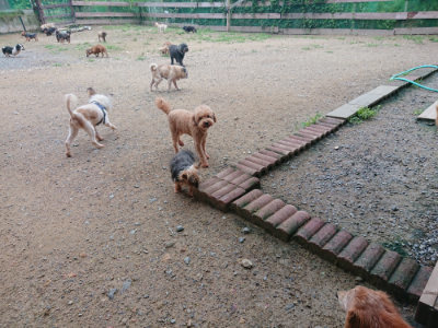 f:id:roukenhome-ann:20190703141911j:plain
