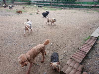 f:id:roukenhome-ann:20190703141922j:plain