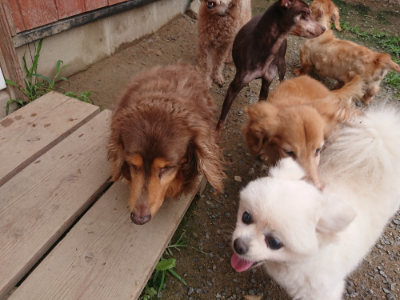 f:id:roukenhome-ann:20190705183759j:plain