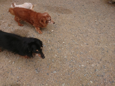 f:id:roukenhome-ann:20190705183806j:plain