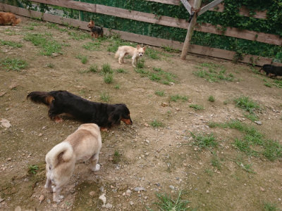 f:id:roukenhome-ann:20190705183813j:plain