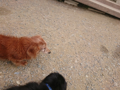 f:id:roukenhome-ann:20190705183832j:plain
