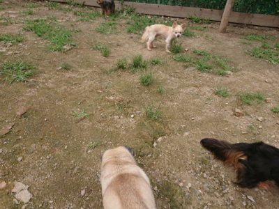 f:id:roukenhome-ann:20190705183836j:plain