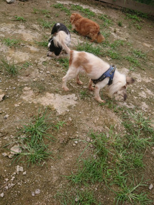f:id:roukenhome-ann:20190705183933j:plain