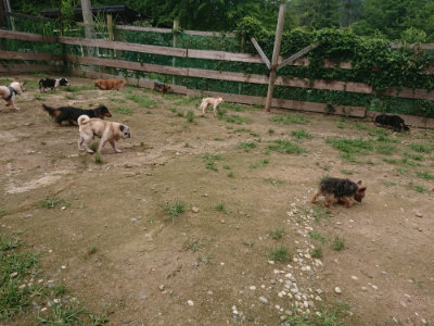 f:id:roukenhome-ann:20190705183949j:plain