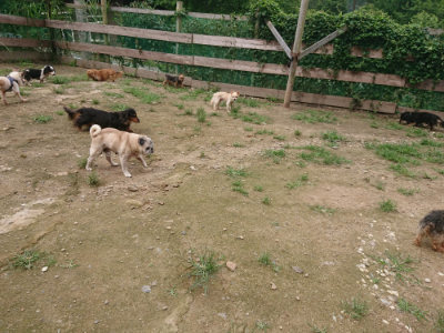 f:id:roukenhome-ann:20190705183953j:plain