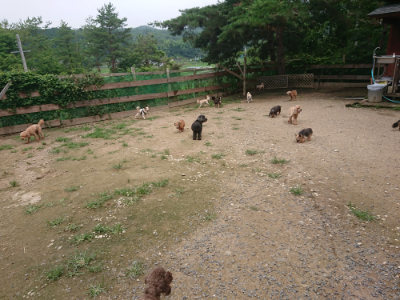 f:id:roukenhome-ann:20190705184008j:plain