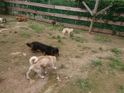 f:id:roukenhome-ann:20190705184019j:plain