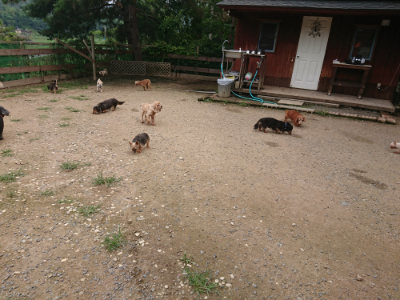 f:id:roukenhome-ann:20190705184034j:plain