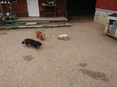 f:id:roukenhome-ann:20190705184039j:plain