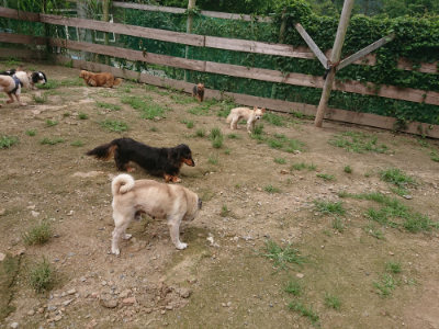 f:id:roukenhome-ann:20190705184045j:plain