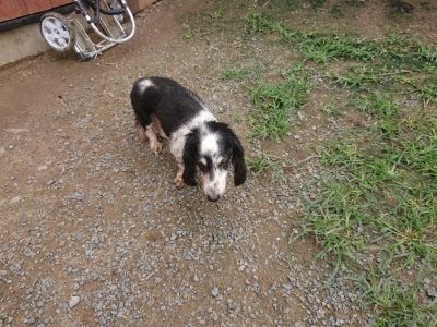f:id:roukenhome-ann:20190705184055j:plain