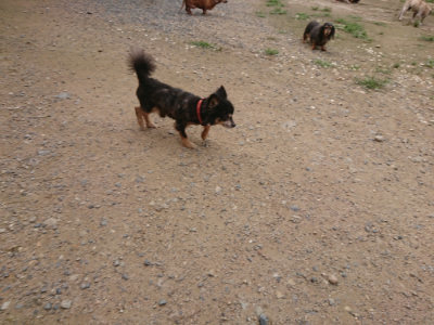 f:id:roukenhome-ann:20190705184105j:plain