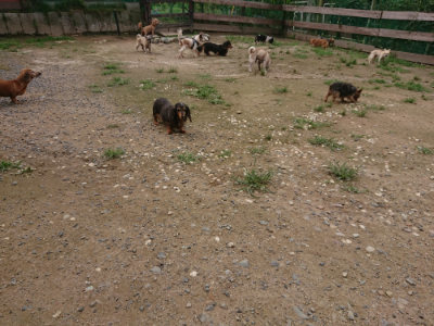 f:id:roukenhome-ann:20190705184111j:plain