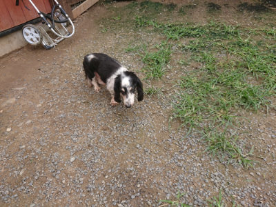 f:id:roukenhome-ann:20190705184122j:plain