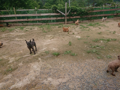 f:id:roukenhome-ann:20190705184150j:plain