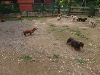 f:id:roukenhome-ann:20190705184157j:plain