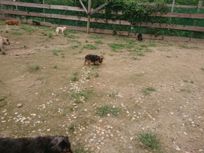 f:id:roukenhome-ann:20190705184203j:plain