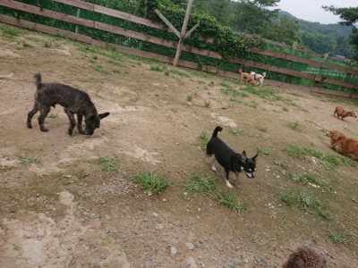 f:id:roukenhome-ann:20190705184213j:plain