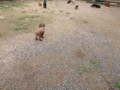 f:id:roukenhome-ann:20190705184218j:plain