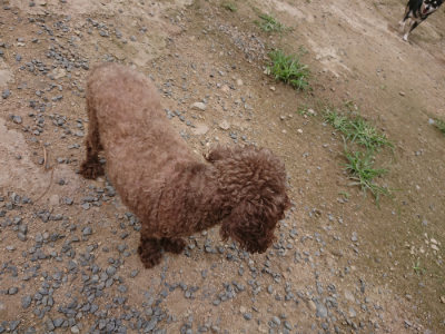 f:id:roukenhome-ann:20190705184534j:plain